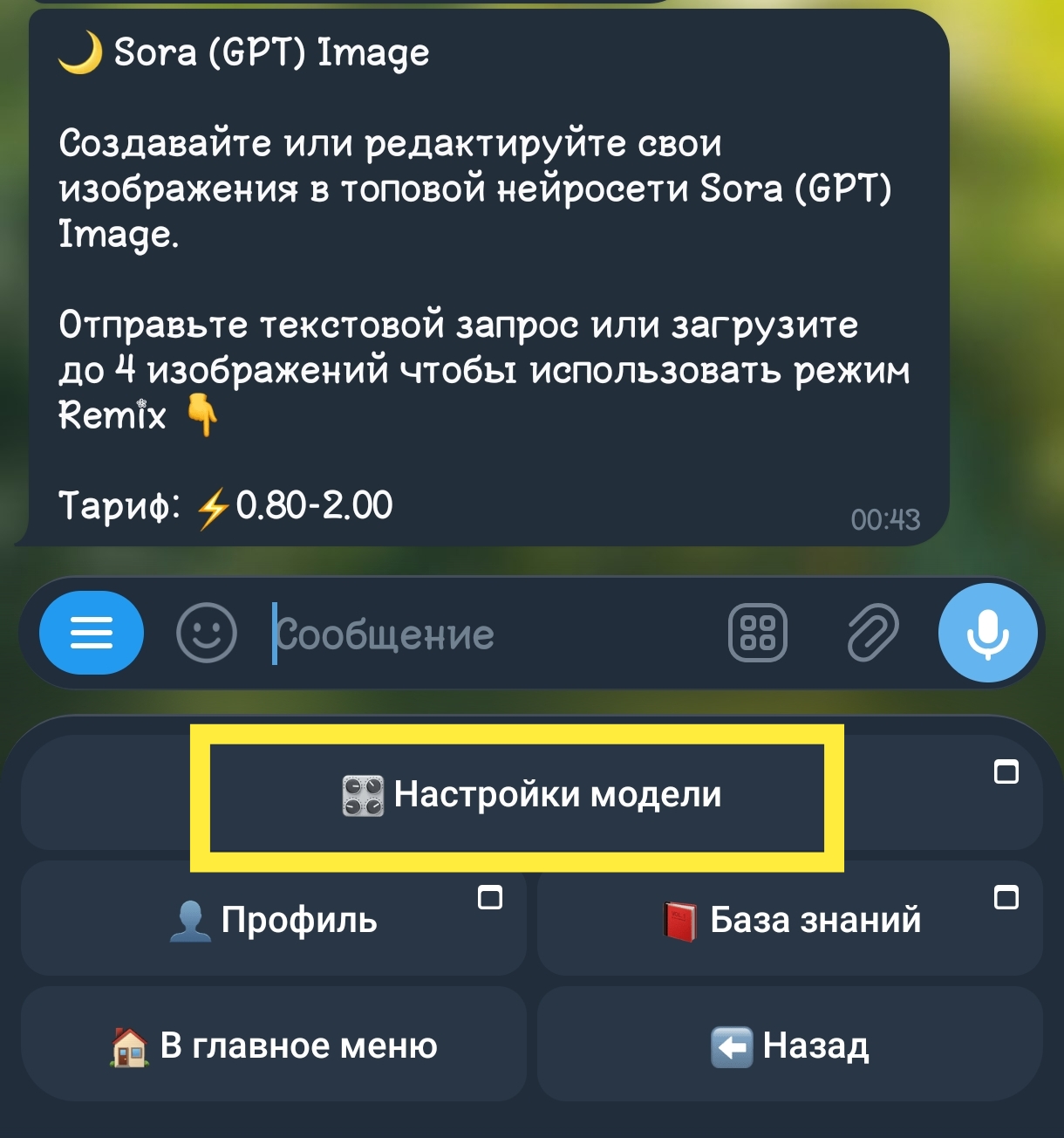 Настройки модели Sora Image