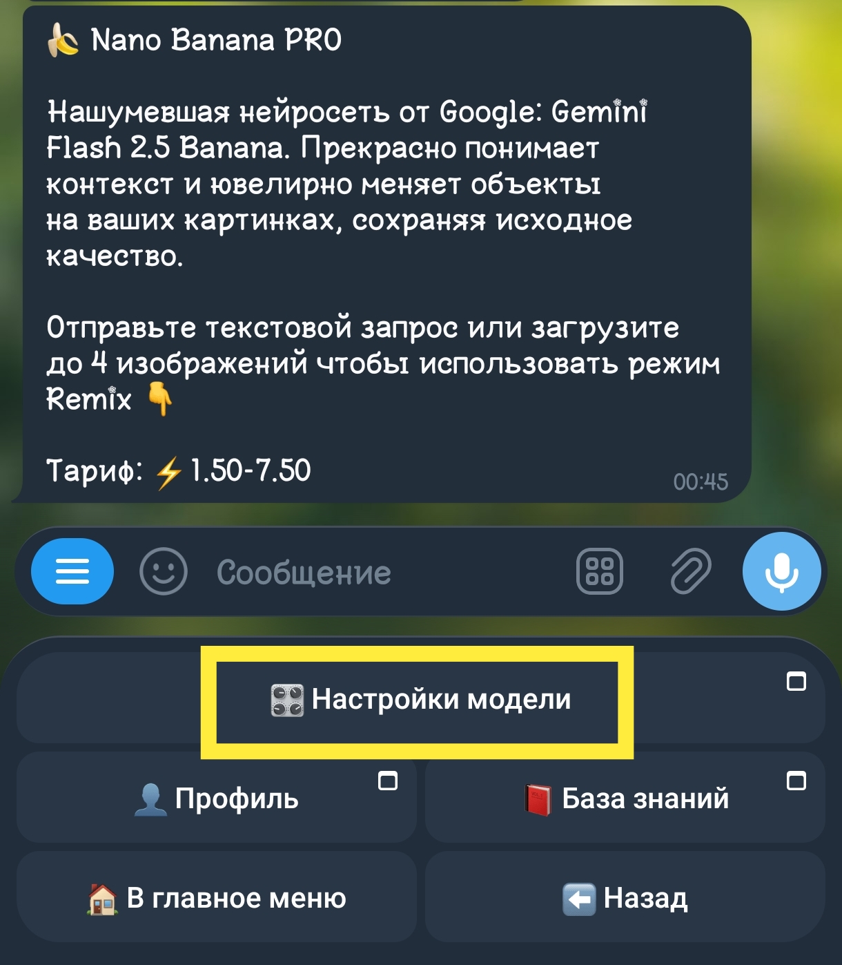 Настройки модели Nano Banana