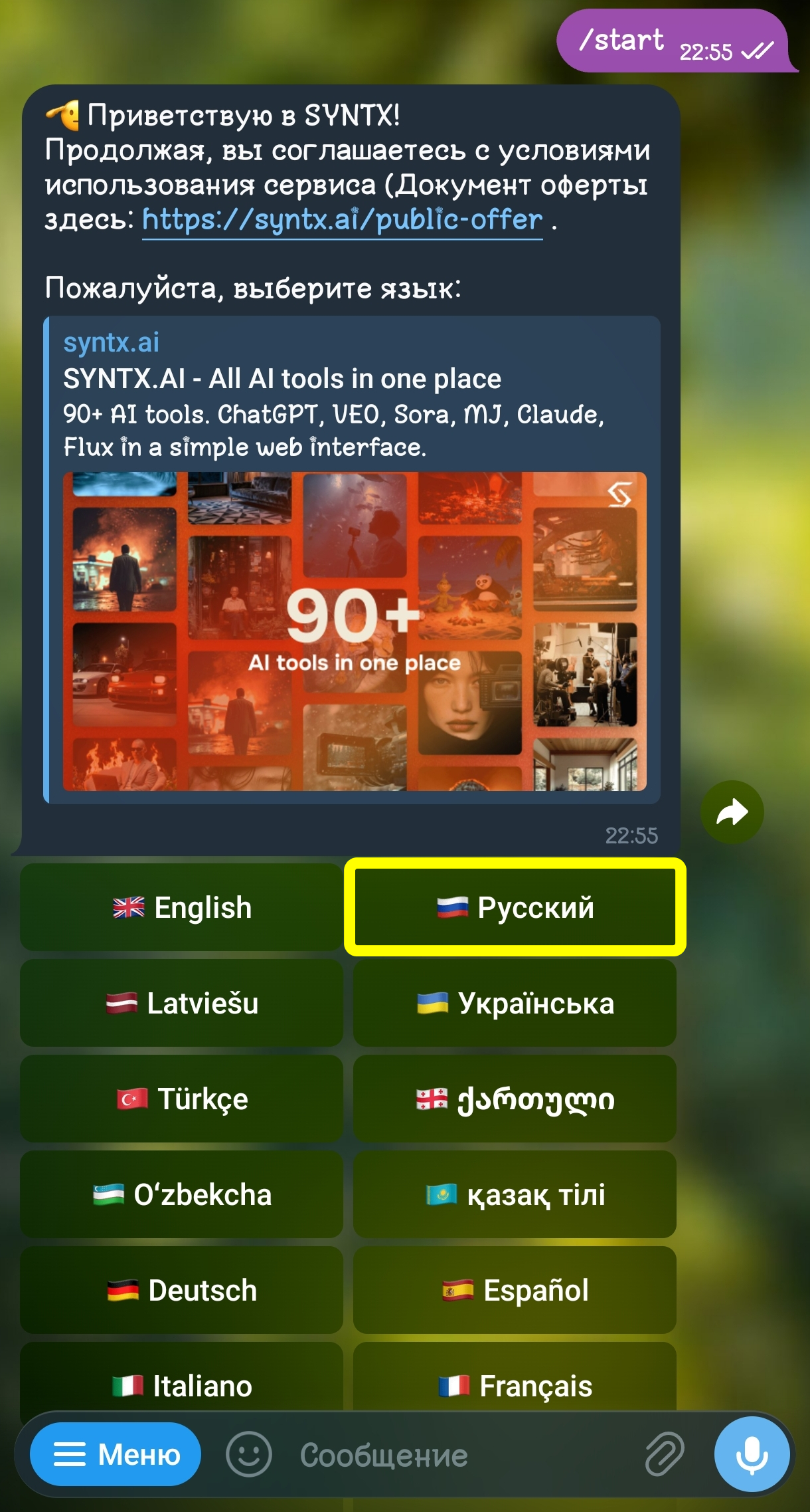 Интерфейс телеграм-бота Syntx — старт и выбор языка